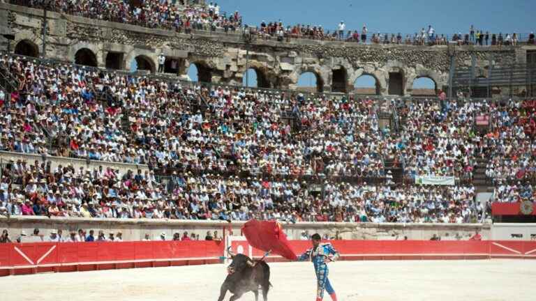 “It’s a victory for the bullfighting people”, is satisfied the president of the Young aficionados of Nîmes