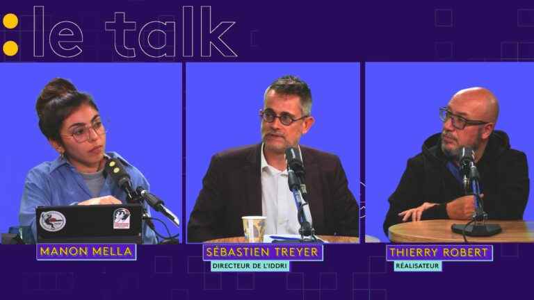 LIVE VIDEO – COP27: are the COPs useful?  The Franceinfo Talk debate