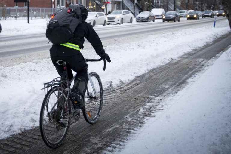 Longueuil |  Twice as many bike paths plowed this season