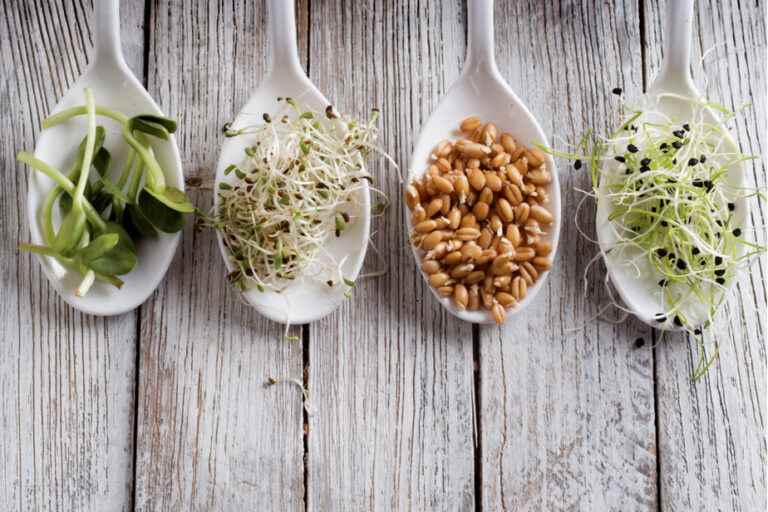 Microgreens and sprouts |  Freshness on the plate this winter