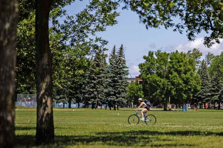 Montreal Parks |  Citizens at the heart of success stories