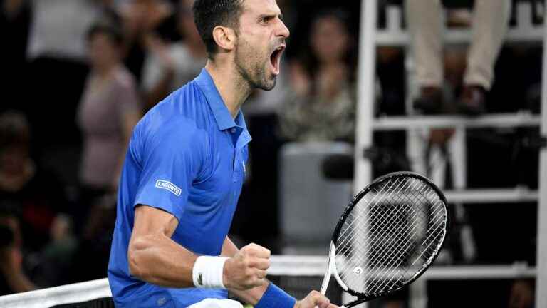 Novak Djokovic struggles against Stefanos Tsitsipas to join Holger Rune in the final