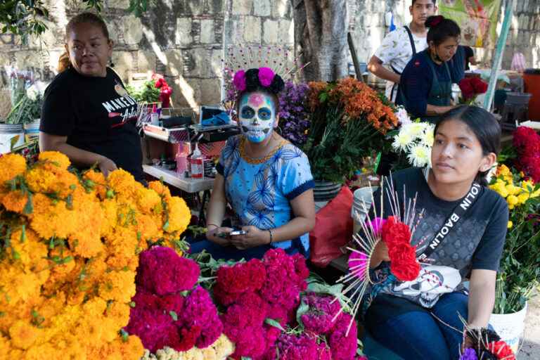 Photoreport |  Celebrating the dead in Mexico