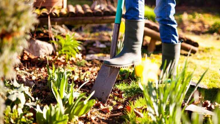 Preparing for fall in the garden