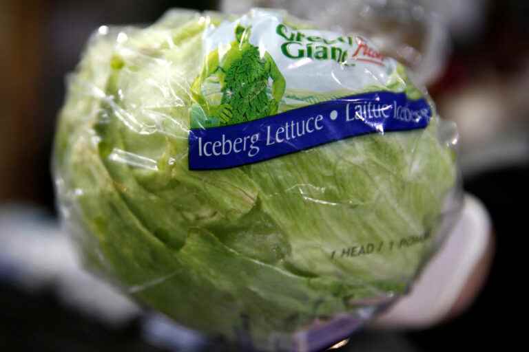 Price increase |  A shortage of lettuce forces restaurants to remove it from the menu