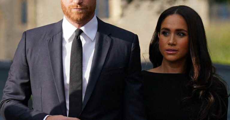 Prince Harry and Meghan Markle, stars of a gala: the enormous sum to spend to meet them…