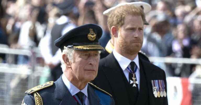 Prince Harry snubbed by his father: new stab from Charles III