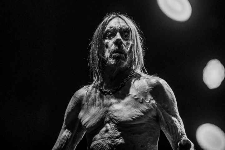 Punk icon Iggy Pop will release a 19th solo album