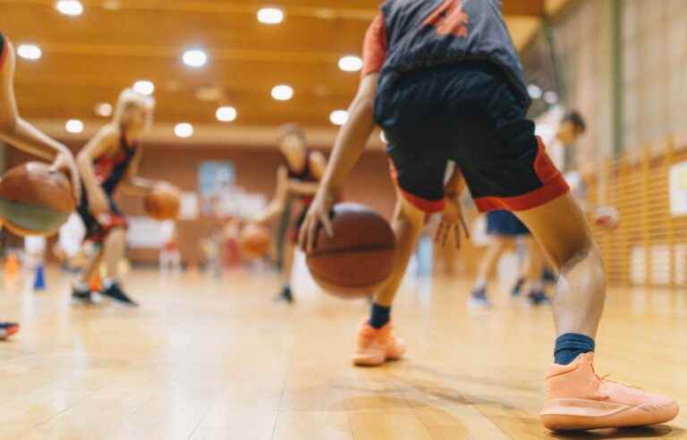 Quebec launches investigation into allegations of abuse in school basketball