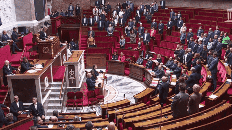 Racist remarks in the National Assembly: the RN deputy excluded from the hemicycle for 15 days