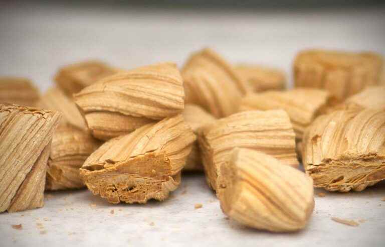 Sainte-Catherine taffy, a growing tradition