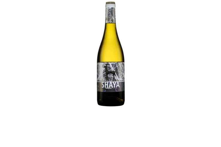 Shaya Verdejo Rueda 2021 |  Affordable: a great success