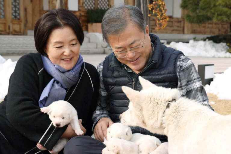 South Korea |  Ex-president Moon Jae-in no longer wants dogs donated by Kim Jong-un