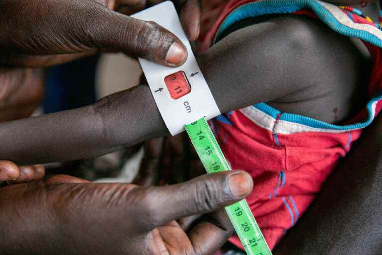 South Sudan |  Eight million people at risk of starvation, according to the UN