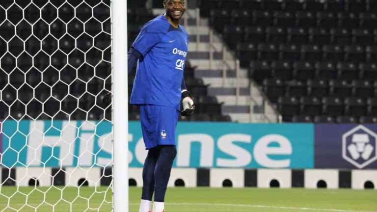 “Steve the big brother” … Among the Blues, the crucial role of Mandanda