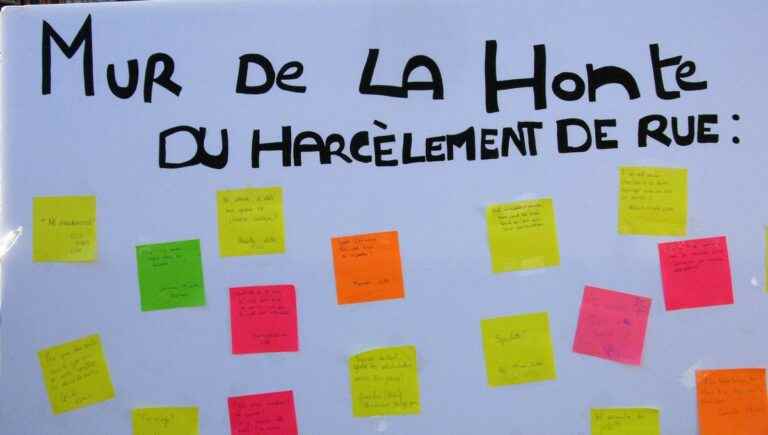 Students challenge the town hall on the feeling of insecurity and street harassment in Poitiers