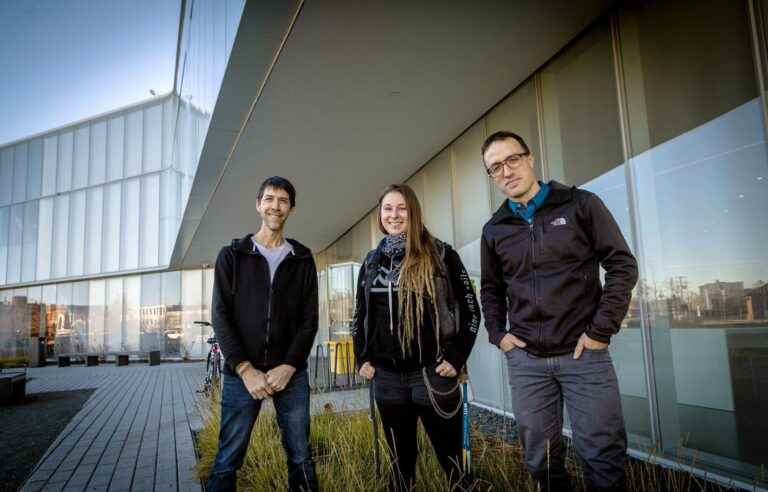 The Drummondville Library as a social work center