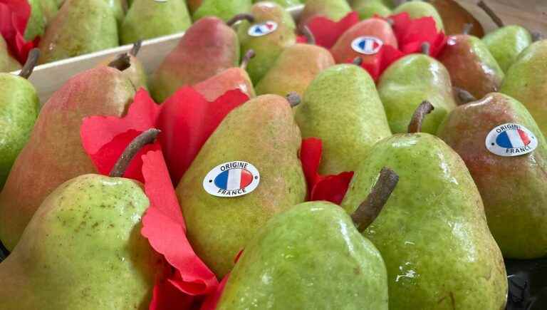 The Pear, in the kitchen with Jean-Jacques Galliffet