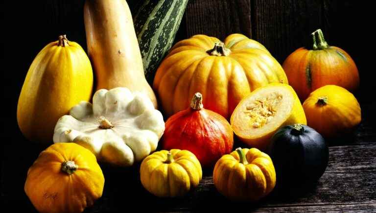 The art of cooking pumpkins without confusing them with Romain Seguy, chef at home