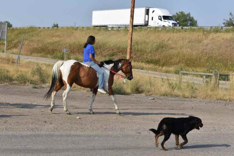 The fate of Native American children in debate at the United States Supreme Court