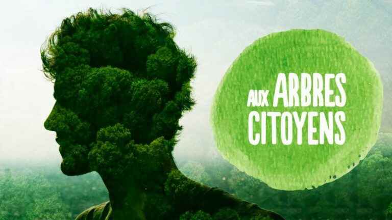 “To the trees citizens!”, the special evening of France Télévisions on the safeguarding of forests