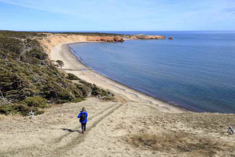 Travel better |  Go to the Îles-de-la-Madeleine without harming them