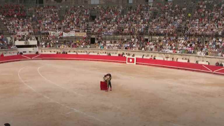 True or Fake: is bullfighting more accepted outside of Paris?