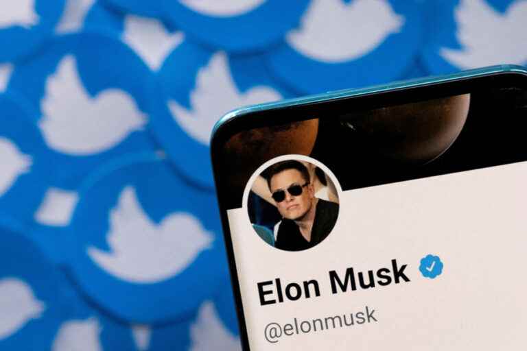 Twitter |  Elon Musk evokes a “general amnesty” for suspended accounts