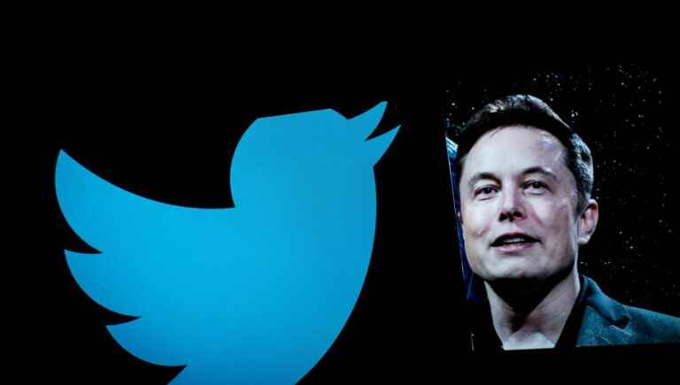 Twitter begins a wave of layoffs, a week after the takeover of the social network by Elon Musk