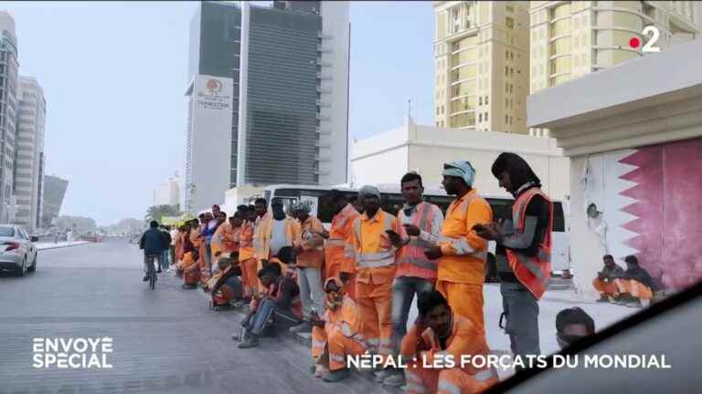 VIDEO.  Nepal: the convicts of the World Cup