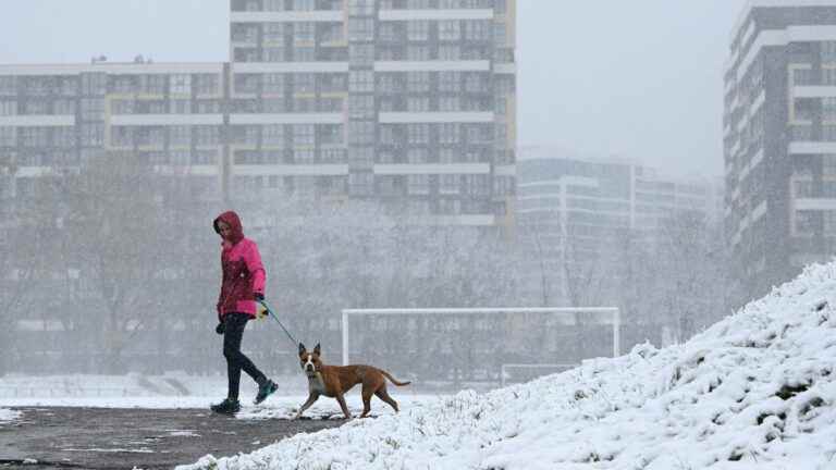 WHO warns of ‘life-threatening’ winter for millions