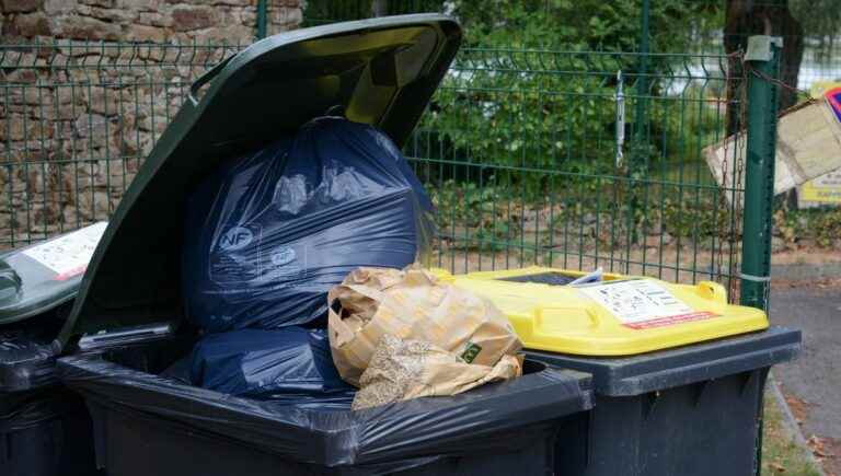 Waste collection days change in the Lille metropolis from this Monday