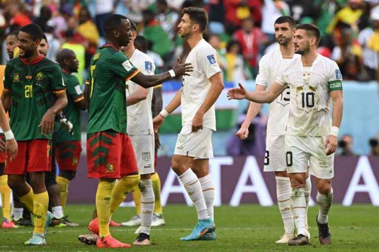 World Cup |  A draw between Cameroon and Serbia