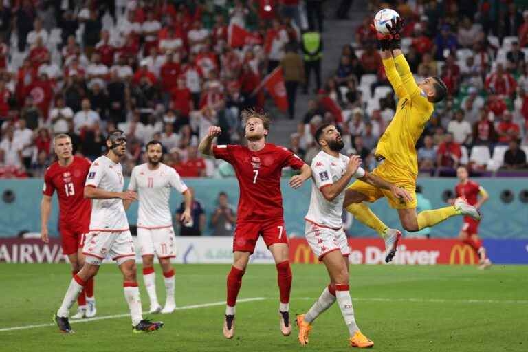 World Cup |  Draw between Tunisia and Denmark