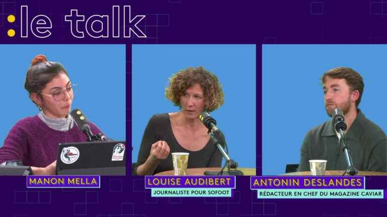 World Cup in Qatar: should sport be politicized?  The Franceinfo Talk debate