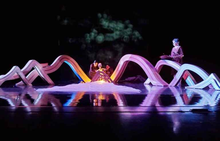 Youth theatre: beautiful shows to enjoy with the family