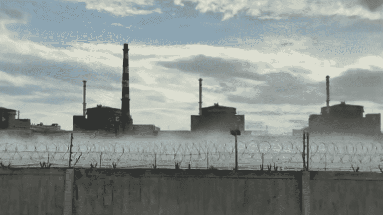 Zaporizhia nuclear power plant targeted by several explosions