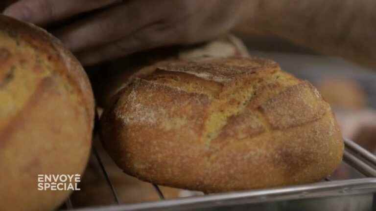 a 132-year-old sourdough and 67% of the daily magnesium requirement