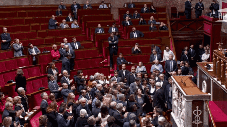 a racist remark by an RN deputy causes an uproar in the hemicycle