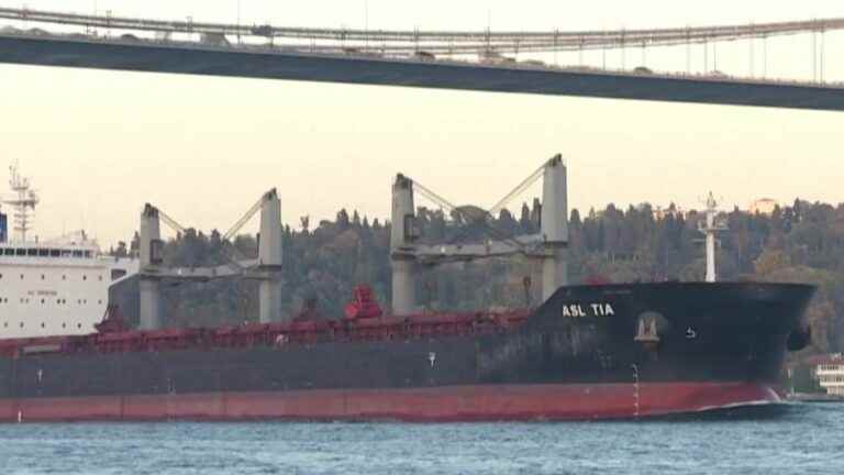 cargo ships loaded with grain will leave Ukrainian ports