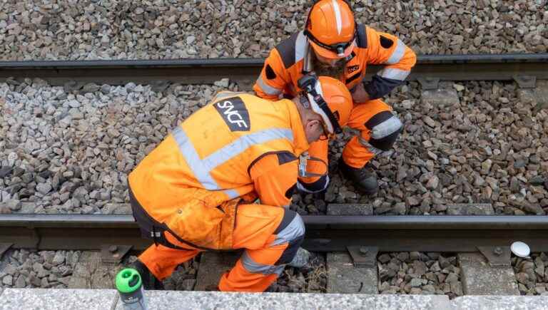 convinced to have hit a body, a driver stops a train