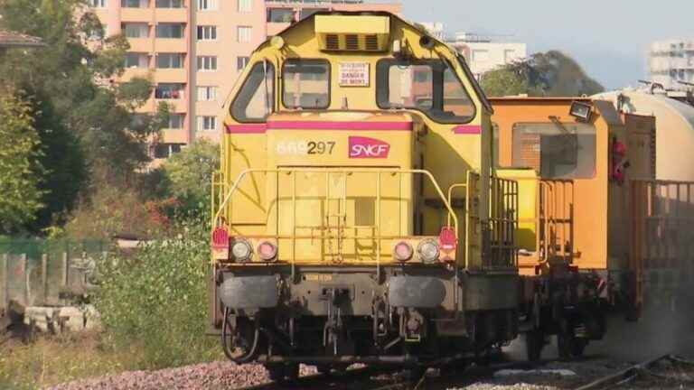 delays, security… how the SNCF “scrubber trains” clean up dead leaves