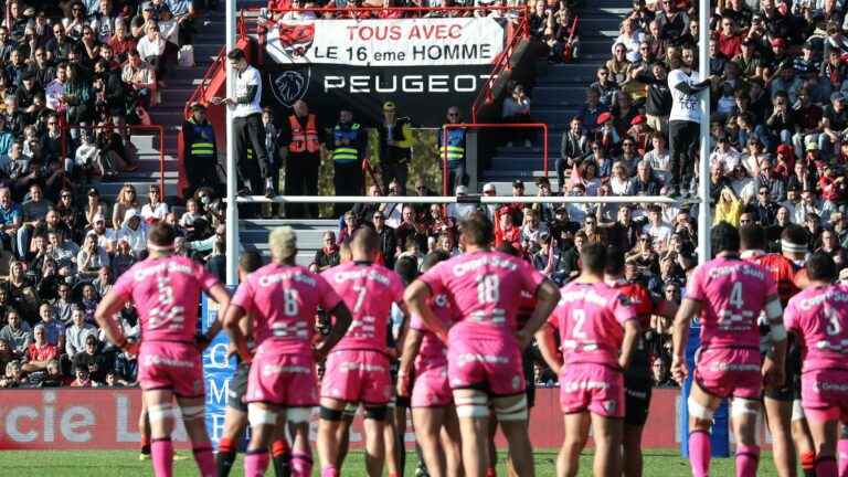 environmental activists interrupt the Toulouse-Stade Français match