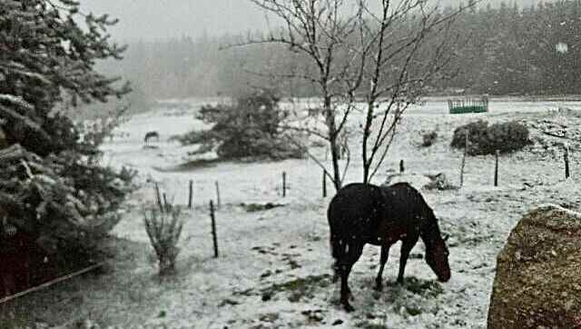 first snowflakes in Lozère