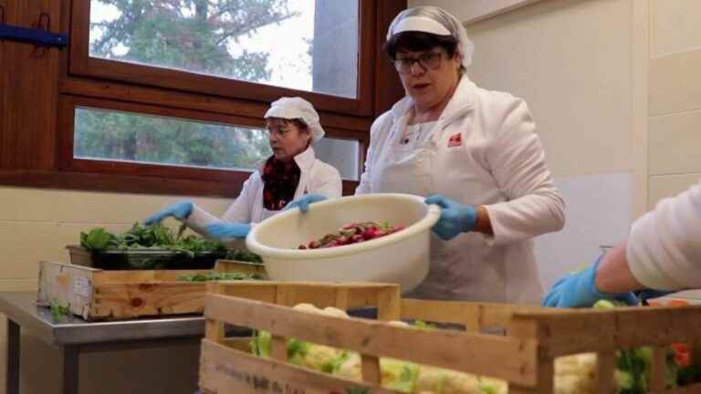 former students of the Albi agricultural high school provide the canteen