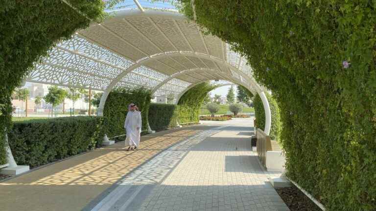 in Qatar, we walked on the air-conditioned running track, “the only place to exercise outside”