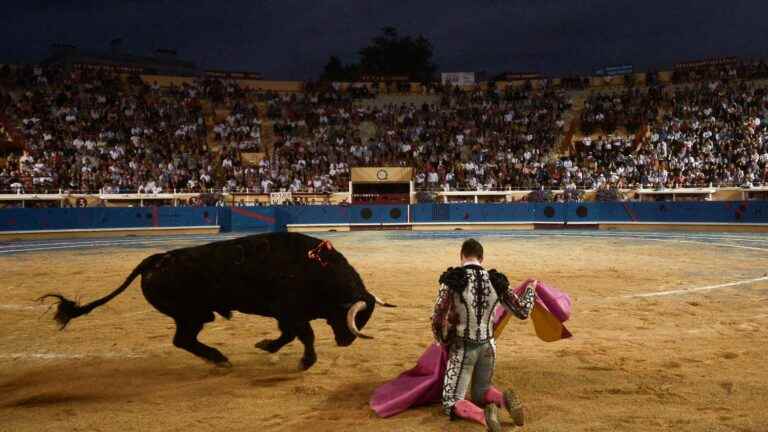 in which countries and under which conditions does the practice of bullfighting continue in the world?