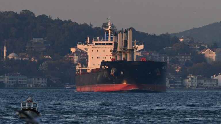 six cargo ships loaded with grain have left Ukrainian ports, announces the Turkish Ministry of Defense