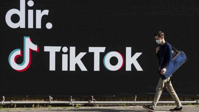 the TikTok social network pinned by Arcom for its opacity