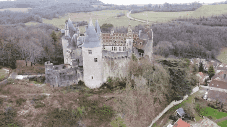 the Ukrainian buyer of the Château de La Rochepot was a crook